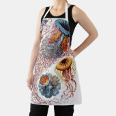 kwallen door Ernst Haeckel, Discomedusae Schort (Insitu)