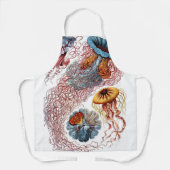 kwallen door Ernst Haeckel, Discomedusae Schort (Voorkant)