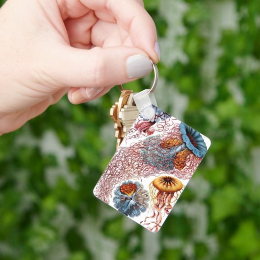 kwallen door Ernst Haeckel, Discomedusae Sleutelhanger (Hand)