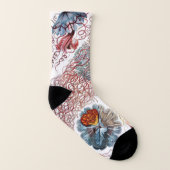  kwallen door Ernst Haeckel, Discomedusae Sokken (Links binnenkant)