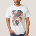 kwallen door Ernst Haeckel, Discomedusae T-shirt<br><div class="desc">illustratie van het biologie van het mariene leven van Ernst Haeckel. In de wateren van het zee zwemmen allerlei kleurrijke kwallen. Jonge vissen zijn waterdieren die vrij zwemmen met een parapluvormig lichaam en lange sleeptentakels. Ze zijn te vinden in alle oceanen en sommige in zoetwatermeren en rivieren.</div>