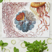  kwallen door Ernst Haeckel, Discomedusae Theedoek (Gevouwen)