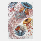  kwallen door Ernst Haeckel, Discomedusae Theedoek (Verticaal)