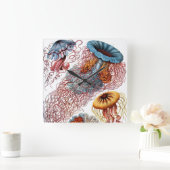  kwallen door Ernst Haeckel, Discomedusae Vierkante Klok (Huis)