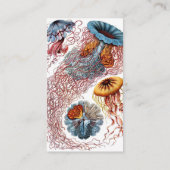  kwallen door Ernst Haeckel, Discomedusae Visitekaartje (Achterkant)