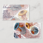  kwallen door Ernst Haeckel, Discomedusae Visitekaartje (Voorkant / Achterkant)