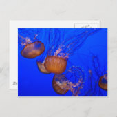 kwallen in de Waterverf van de Oceaan Briefkaart (Voorkant / Achterkant)
