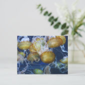 kwallen in het aquarium briefkaart (Staand voorkant)