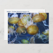 kwallen in het aquarium briefkaart (Voorkant / Achterkant)