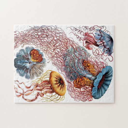   kwallen legpuzzel (Horizontaal)