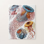 kwallen legpuzzel<br><div class="desc">Prachtige puzzel met  illustratie door Ernst Haeckel van verschillende kwallen.</div>