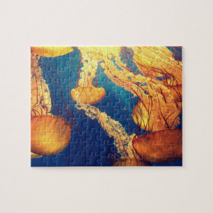 Kwallen Legpuzzel