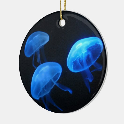 kwallen | Onderwaterfotografie Keramisch Ornament (Links)