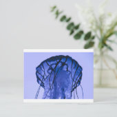 kwallen op blauw briefkaart (Staand voorkant)