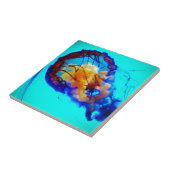 Kwallen / Pacific Zee Nettle / Tegeltje (Zijkant)