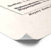 kwallen Retro Zee Jelly Fish Poster (Hoek)