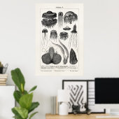 kwallen Retro Zee Jelly Fish Poster (Thuiskantoor)