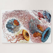 kwallen (Scheibenquallen) van Ernst Haeckel Legpuzzel (Horizontaal)