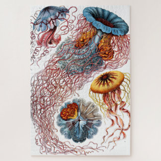 kwallen (Scheibenquallen) van Ernst Haeckel Legpuzzel