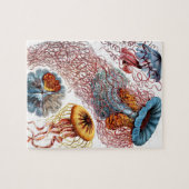kwallen (Scheibenquallen) van Ernst Haeckel Legpuzzel (Horizontaal)
