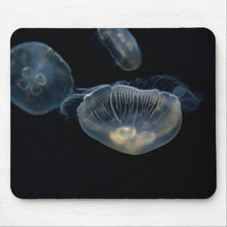 Kwallen, zeeen gelei, dieren muismat
