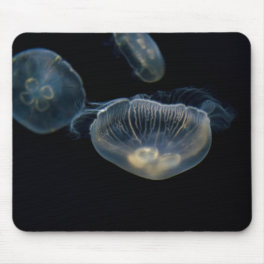 Kwallen, zeeen gelei, dieren muismat (Voorkant)