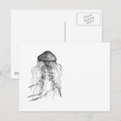 Kwallen Zwart en Wit Potlood Tekening Schets Briefkaart (Voorkant / Achterkant)