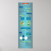 Kwantitatoren: wenken en tips poster (Voorkant)