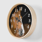 Kwart Paard Foto Bruin Wit Genummerd (Hoek)