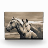 kwart paard op Canadian Prairie Fotoblokken (Voorkant)