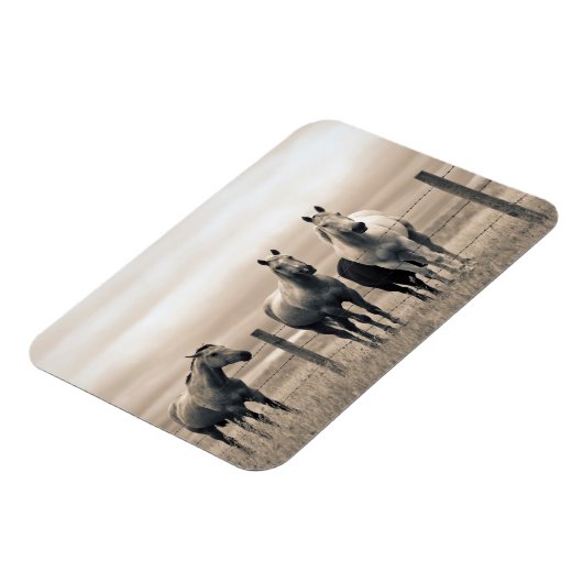 kwart paard op Canadian Prairie Magneet (Linkerzijde)