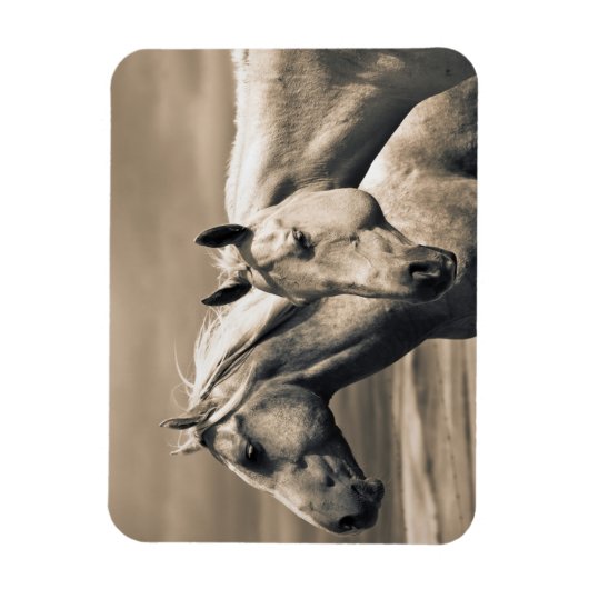 kwart paard op Canadian Prairie Magneet (Verticaal)