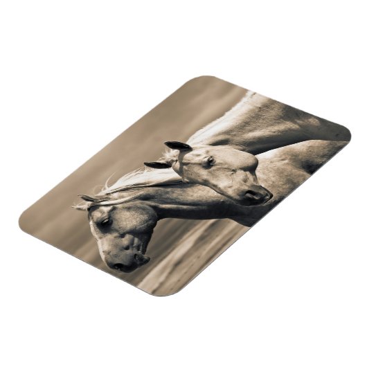 kwart paard op Canadian Prairie Magneet (Linkerzijde)