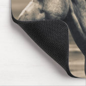 kwart paard op Canadian Prairie Muismat (Hoek)