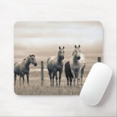 kwart paard op Canadian Prairie Muismat (Met muis)