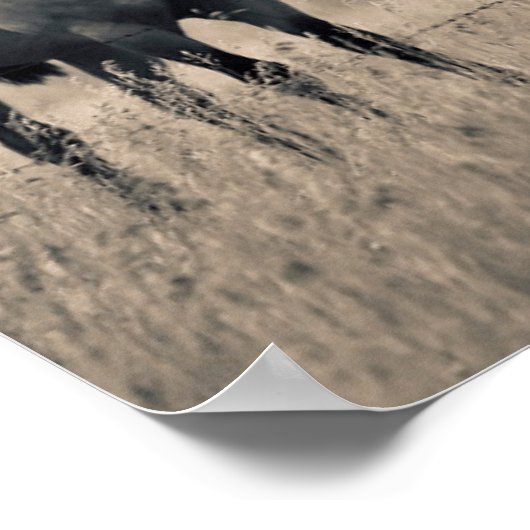 kwart paard op Canadian Prairie Poster (Hoek)