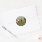 Kwart Paardenbeslag Stickers (Envelop)