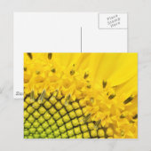 kwart zon briefkaart (Voorkant / Achterkant)