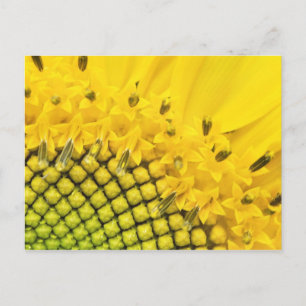 kwart zon briefkaart