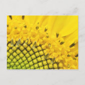 kwart zon briefkaart (Voorkant)