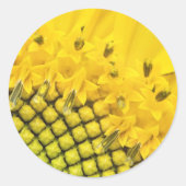 kwart zon ronde sticker (Voorkant)