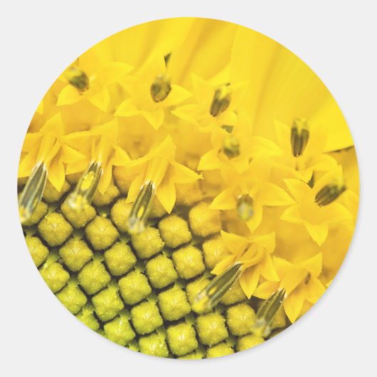 kwart zon ronde sticker (Voorkant)