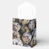 Kwartaaleieren Bedankdoosjes (Geopend)