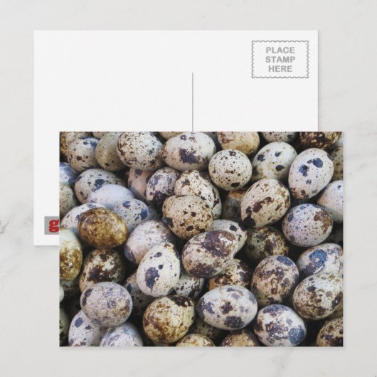 Kwartaaleieren Briefkaart (Voorkant / Achterkant)