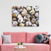 Kwartaaleieren Canvas Afdruk (Insitu (Woonkamer))