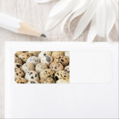 Kwartaaleieren Etiket (Insitu)