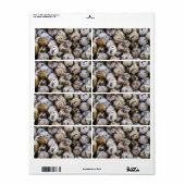 Kwartaaleieren Etiket (Full Sheet)