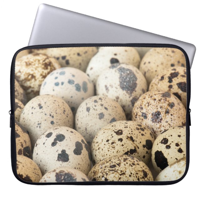 Kwartaaleieren Laptop Sleeve (Voorkant)