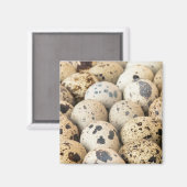 Kwartaaleieren Magneet (Voorkant / Achterkant)