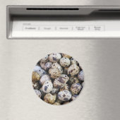 Kwartaaleieren Magneet (Insitu (Vaatwasser))